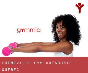 Chénéville gym (Outaouais, Quebec)