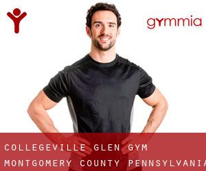 Collegeville Glen gym (Montgomery County, Pennsylvania)