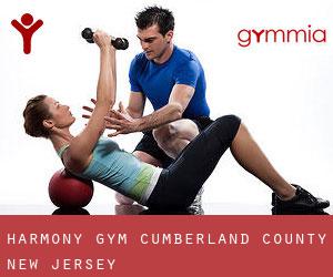 Harmony gym (Cumberland County, New Jersey)