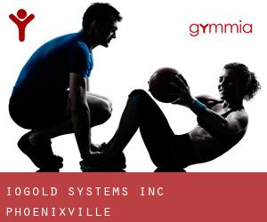 Iogold Systems Inc (Phoenixville)