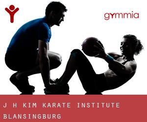 J H Kim Karate Institute (Blansingburg)
