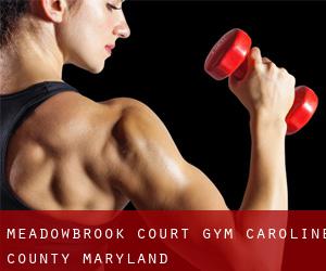 Meadowbrook Court gym (Caroline County, Maryland)