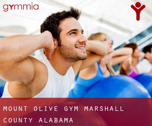 Mount Olive gym (Marshall County, Alabama)