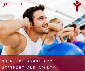 Mount Pleasant gym (Westmoreland County, Pennsylvania)