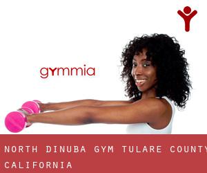 North Dinuba gym (Tulare County, California)