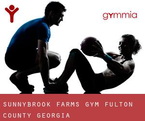 Sunnybrook Farms gym (Fulton County, Georgia)